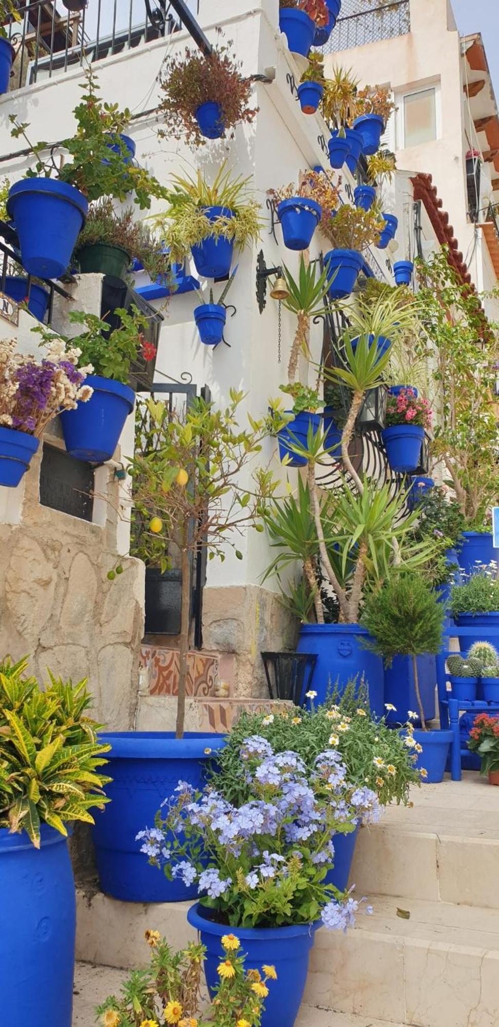 El Barrio Alicante , Playa Y Casco Antiguo Bagian luar foto
